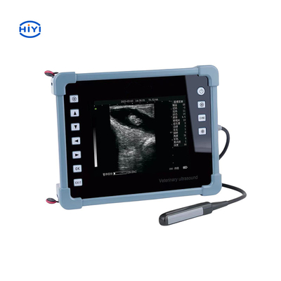 HiYi Ultrasons vétérinaires CHY8 Instrument de diagnostic numérique B-ultrasons professionnel pour le bétail chèvre porc cheval chien