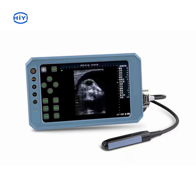 Hiyi Ultrasons vétérinaires THY6 Instrument de diagnostic numérique B-ultrasons haut de gamme pour le bétail Cheval chameau moutons porcs