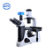 Le tube d'observation de l'oeil PD100 trois a inversé le microscope biologique inclinaison de 30 degrés rotation de 360 degrés